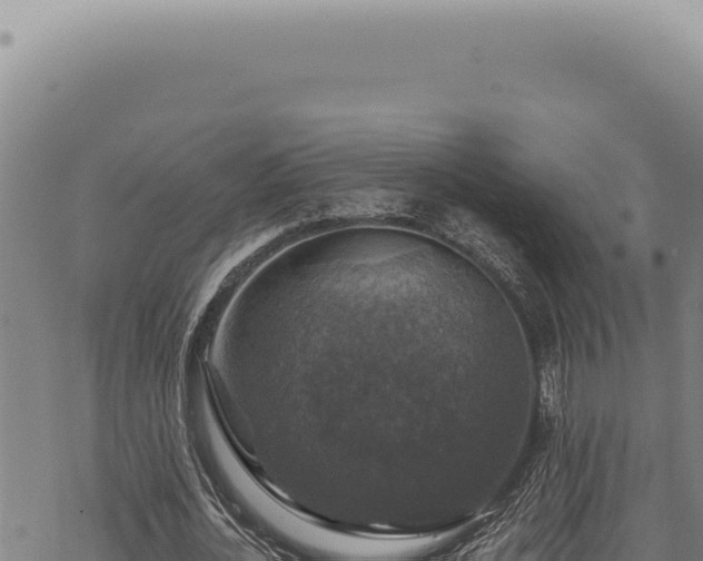 X0000068840724200605121406