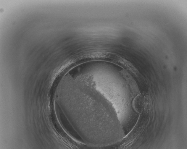 X0000068840727200605121406