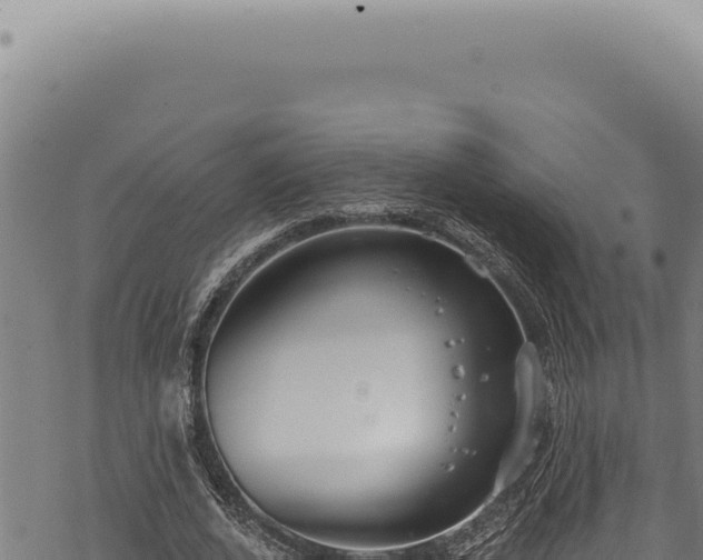 X0000068840728200605121406