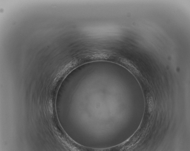 X0000068840729200605121406