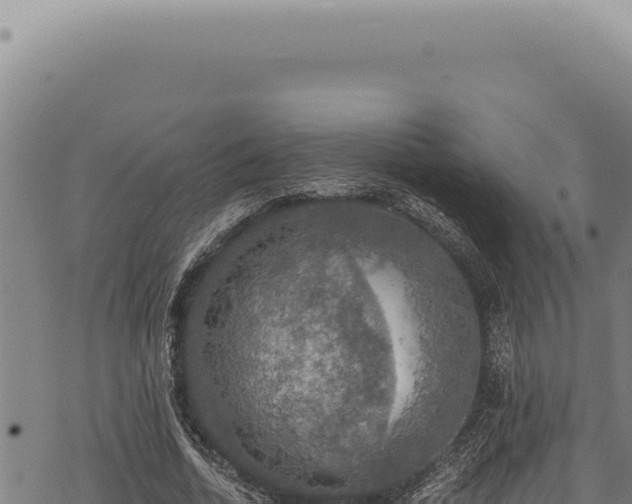 X0000068840730200605121406