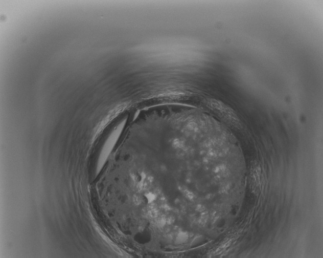 X0000068840734200605121406