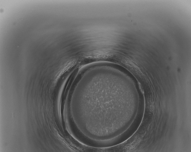 X0000068840735200605121406