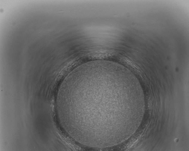 X0000068840737200605121406