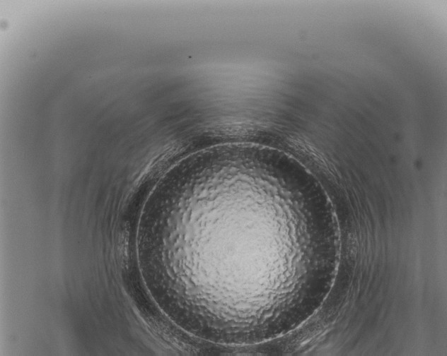 X0000068840739200605121406