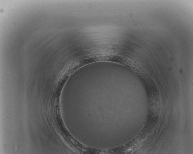 X0000068840742200605121406