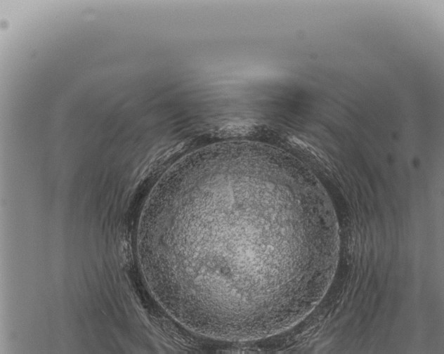 X0000068840743200605121406