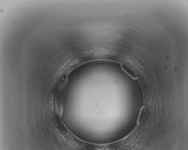 X0000068840744200605121406