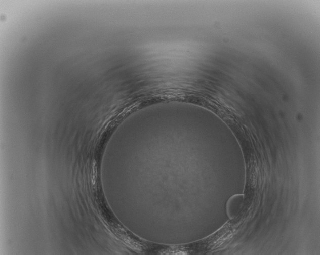 X0000068840747200605121406