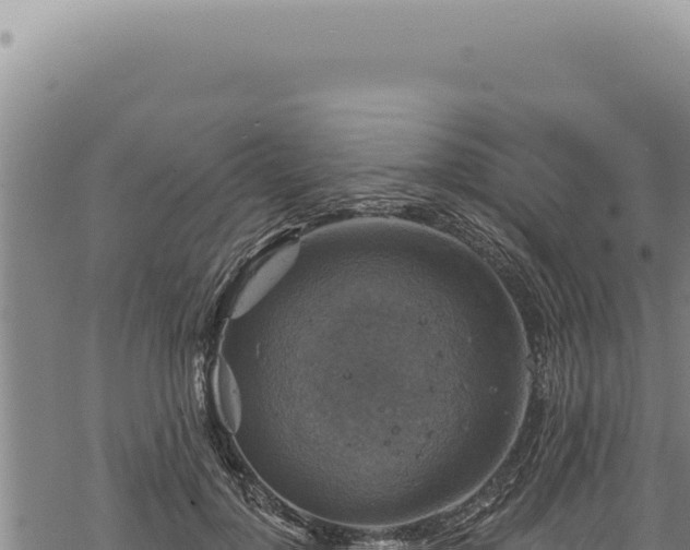 X0000068840748200605121406