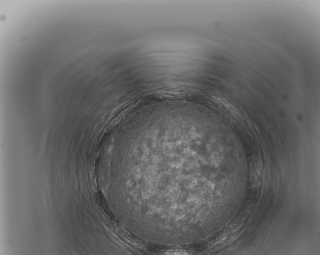 X0000068840749200605121406