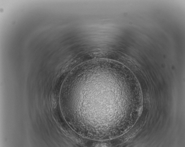 X0000068840751200605121406