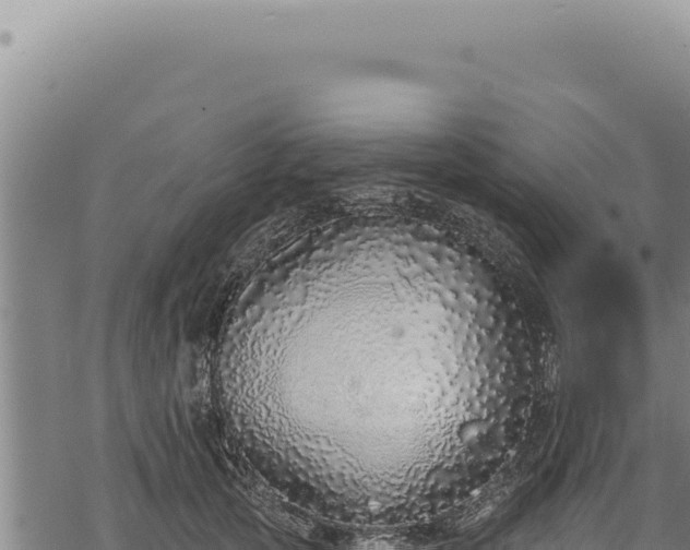 X0000068840753200605121406