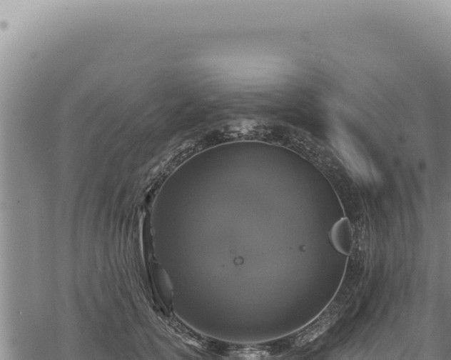 X0000068840754200605121406