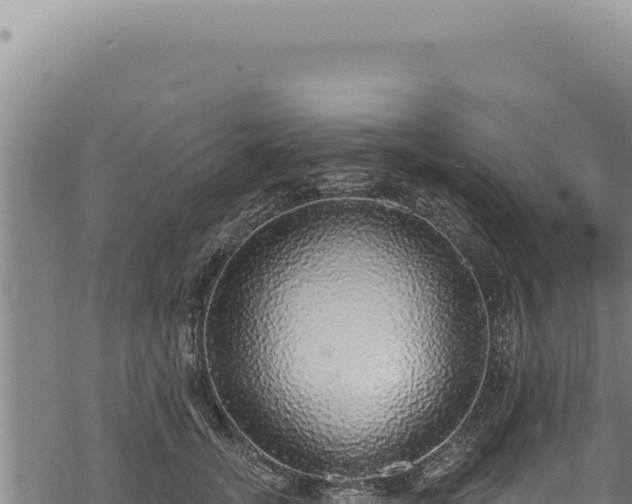 X0000068840755200605121406