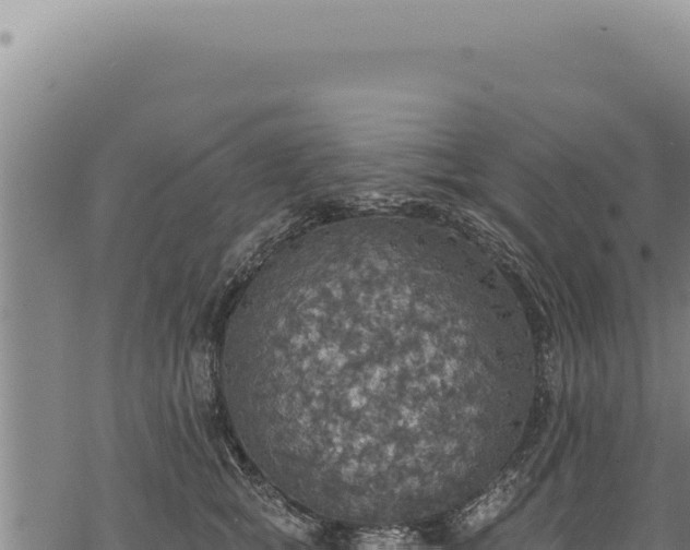 X0000068840757200605121406