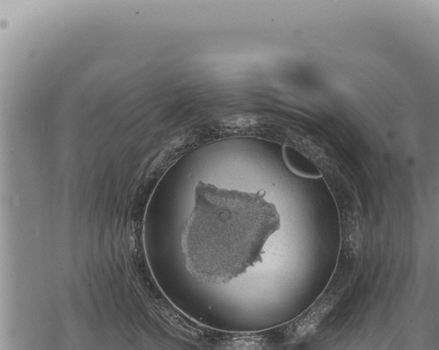 X0000068840758200605121406