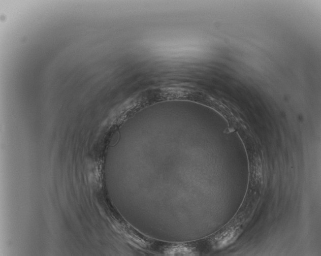 X0000068840759200605121406