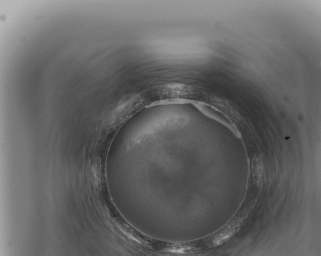 X0000068840760200605121406