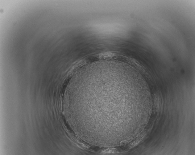 X0000068840761200605121406