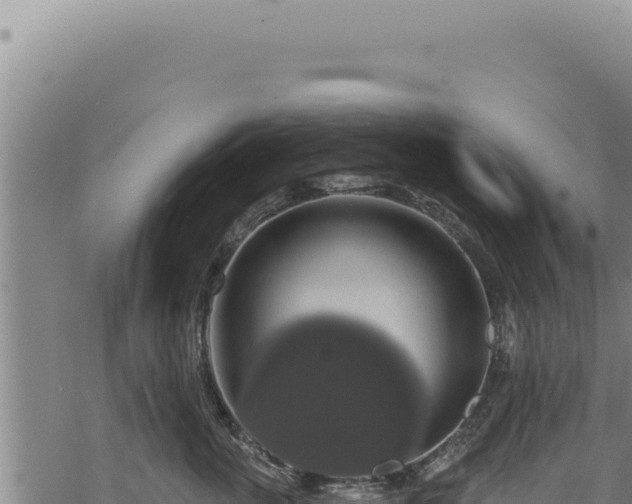 X0000068840763200605121406