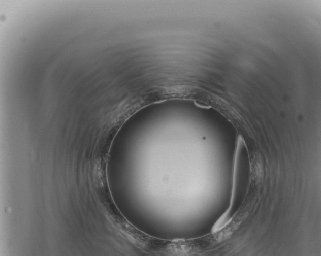 X0000068840764200605121406