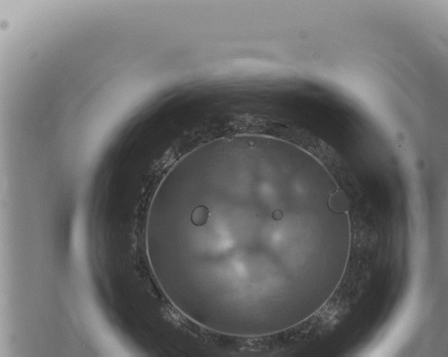 X0000068840765200605121406