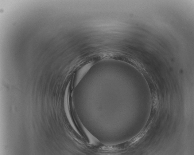 X0000068840766200605121406