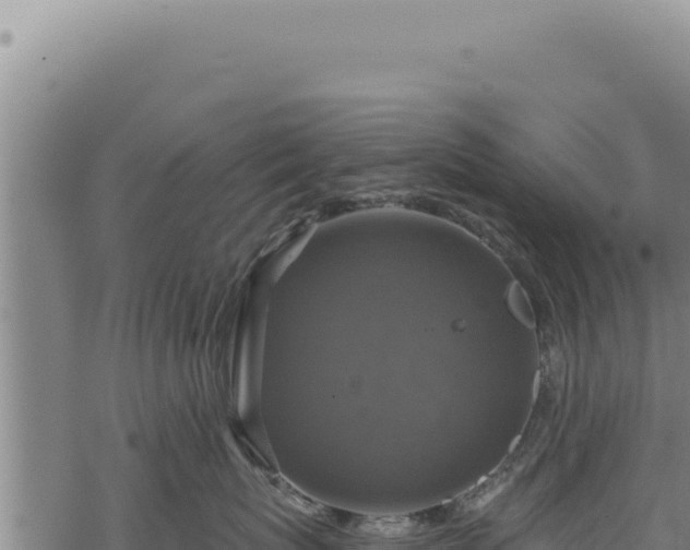 X0000068840767200605121406