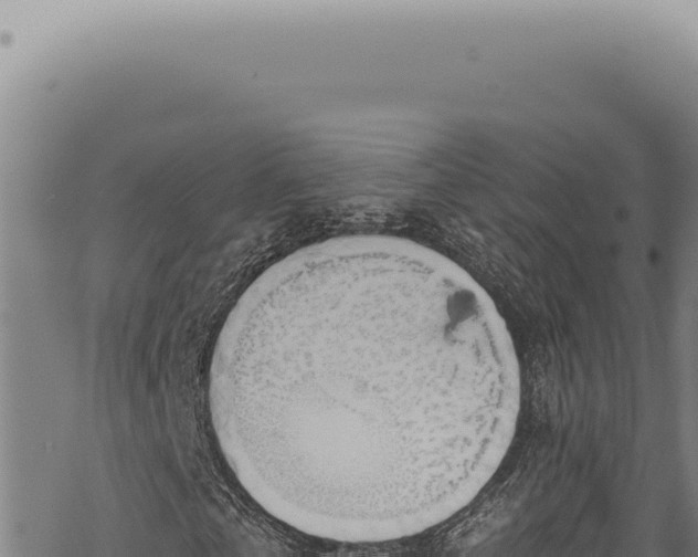 X0000068840769200605121406