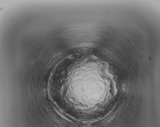 X0000068840771200605121406