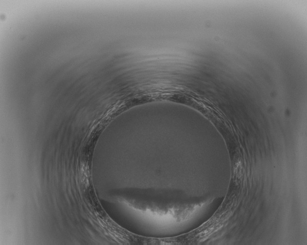 X0000068840772200605121406