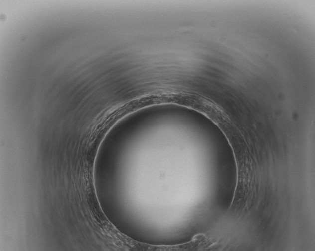 X0000068840773200605121406