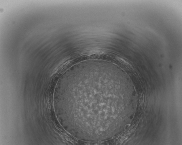 X0000068840774200605121406