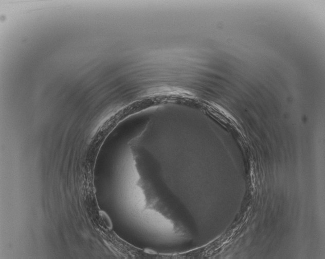 X0000068840775200605121405