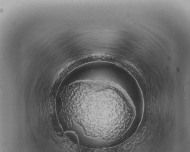 X0000068840776200605121405