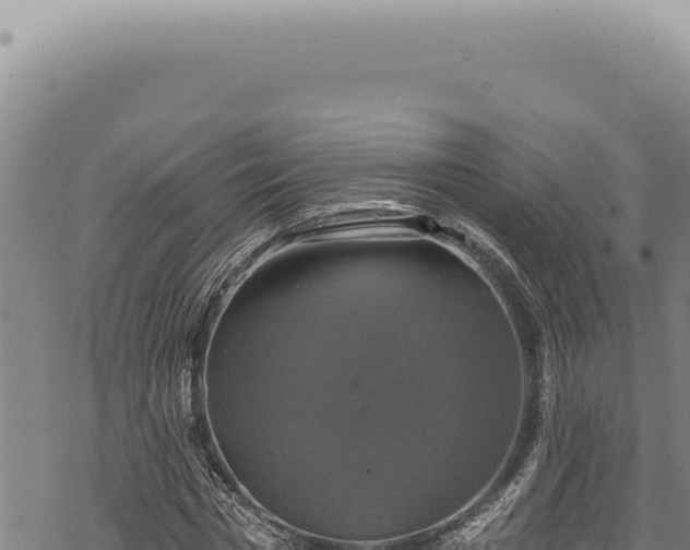 X0000068840777200605121405