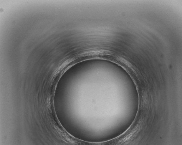 X0000068840778200605121405