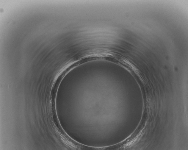 X0000068840779200605121405