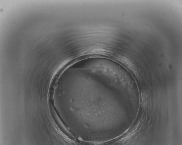 X0000068840780200605121405