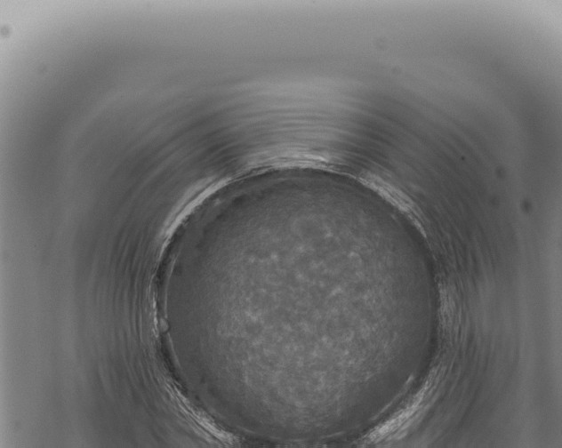 X0000068840782200605121405