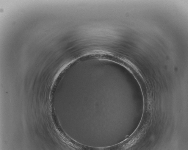 X0000068840783200605121405