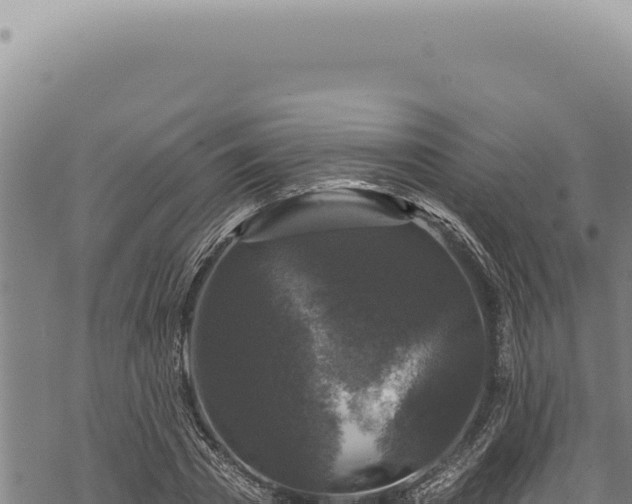 X0000068840785200605121405