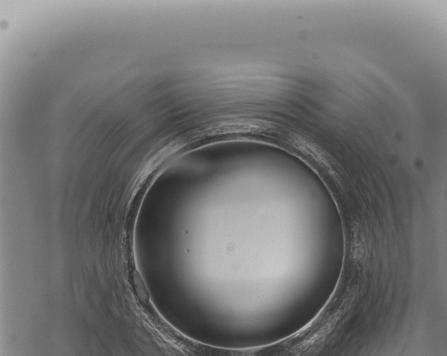 X0000068840786200605121405