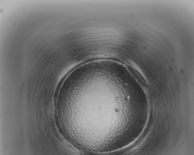 X0000068840787200605121405