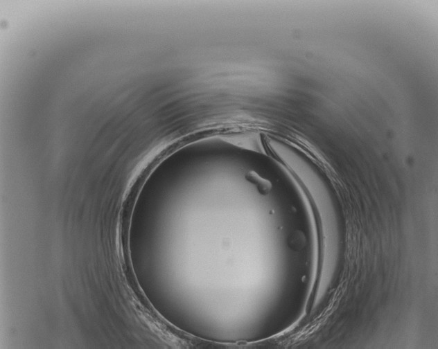 X0000068840788200605121405