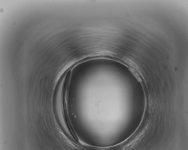 X0000068840789200605121405