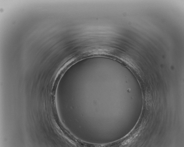 X0000068840790200605121405