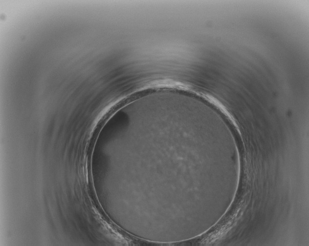 X0000068840791200605121405