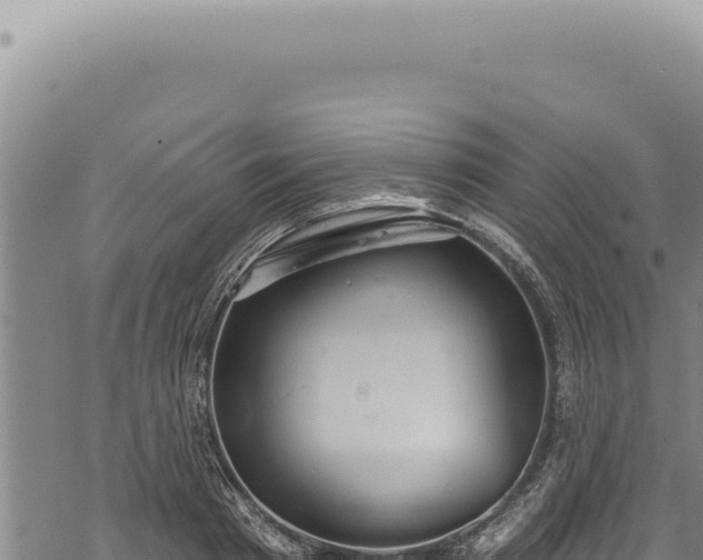 X0000068840793200605121405